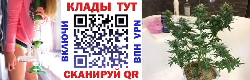 Хочу наркоту Динская ГАШ Канабис АМФЕТАМИН МЕФ
