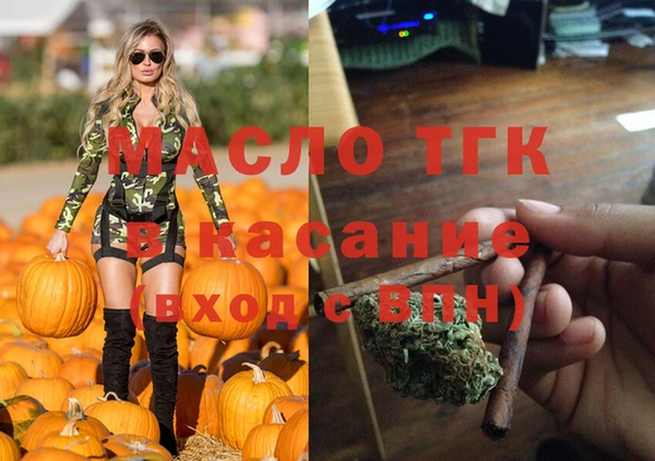 гашик Алексеевка