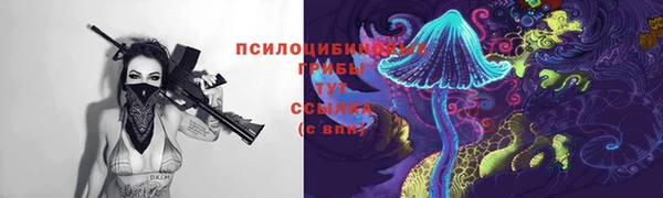 гашик Алексеевка