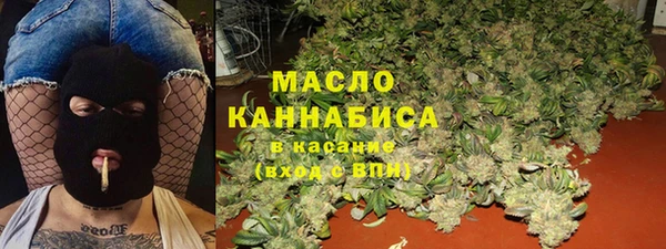 гашик Алексеевка