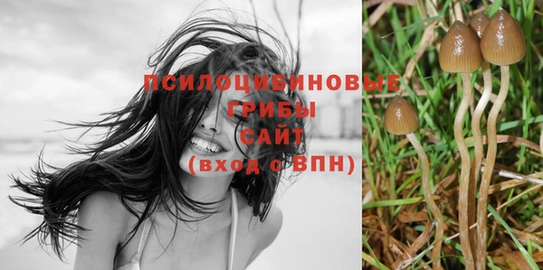 гашик Алексеевка