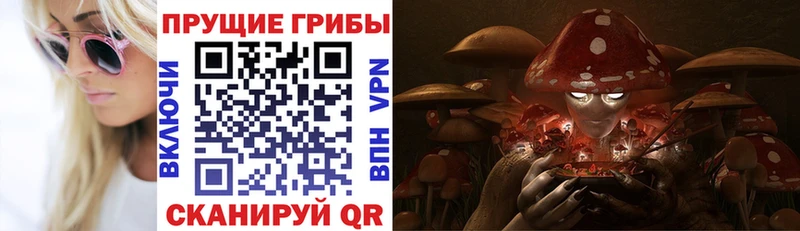 даркнет сайт  Динская  Псилоцибиновые грибы Cubensis 